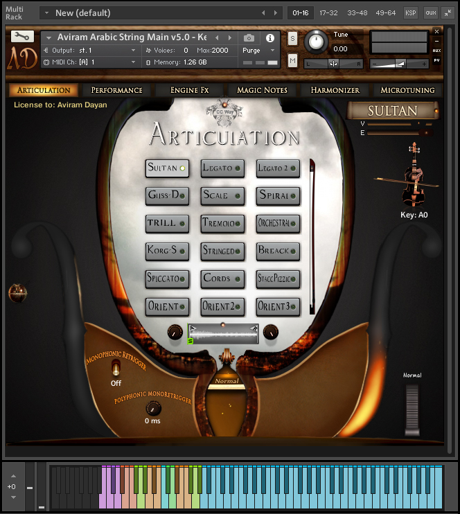 Aviram Arabic Strings - Image 2